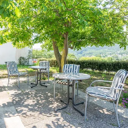 Violet With A Garden Apartment *