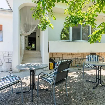 Violet With A Garden *