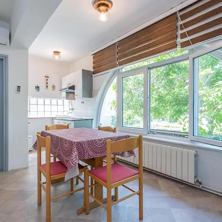 Violet With A Garden * Jurandvor