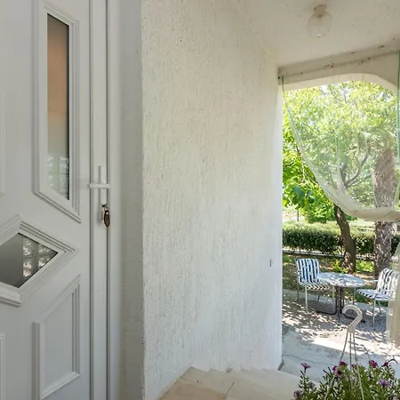 Violet With A Garden *