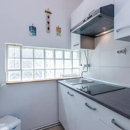 Violet With A Garden