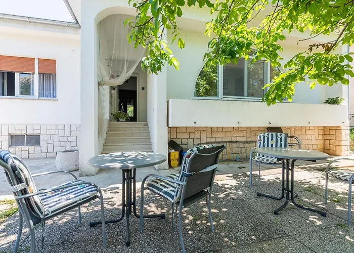 Violet With A Garden *