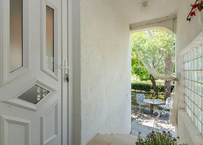 Violet With A Garden *